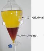 Turning Fatty Wastewater into Biodiesel » WAITRO