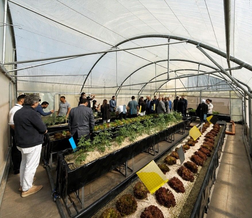 Innovation to Impact: Building Climate-Resilient Agriculture through Green Solutions in Jordan » WAITRO